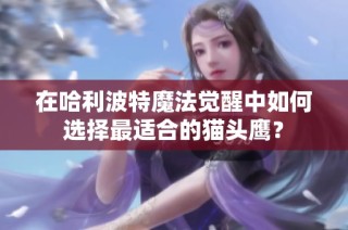 在哈利波特魔法觉醒中如何选择最适合的猫头鹰？