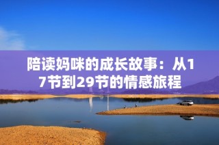 陪读妈咪的成长故事：从17节到29节的情感旅程