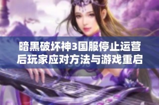 暗黑破坏神3国服停止运营后玩家应对方法与游戏重启解决方案探讨