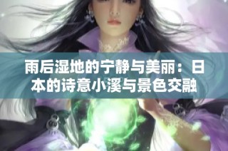 雨后湿地的宁静与美丽：日本的诗意小溪与景色交融