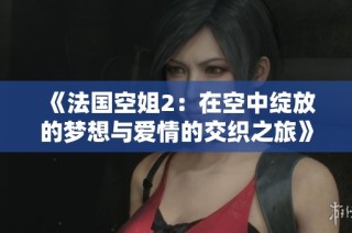 《法国空姐2：在空中绽放的梦想与爱情的交织之旅》