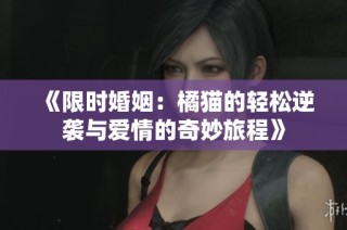《限时婚姻：橘猫的轻松逆袭与爱情的奇妙旅程》