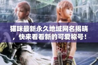 猫咪最新永久地域网名揭晓，快来看看新的可爱称号！