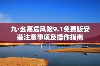 九·幺高危风险9.1免费版安装注意事项及操作指南