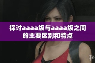 探讨aaaa级与aaaa级之间的主要区别和特点
