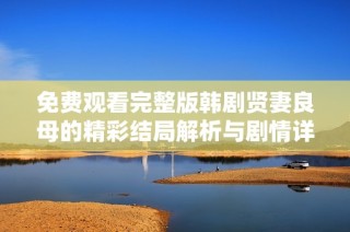 免费观看完整版韩剧贤妻良母的精彩结局解析与剧情详解