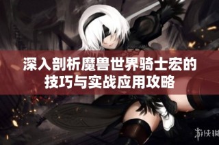 深入剖析魔兽世界骑士宏的技巧与实战应用攻略