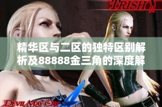 精华区与二区的独特区别解析及88888金三角的深度解读