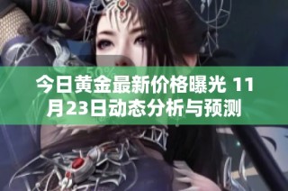 今日黄金最新价格曝光 11月23日动态分析与预测