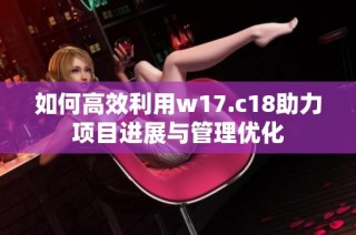 如何高效利用w17.c18助力项目进展与管理优化