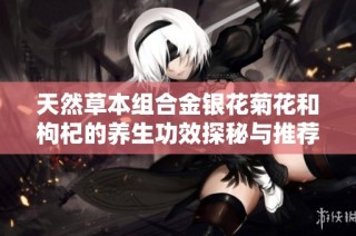 天然草本组合金银花菊花和枸杞的养生功效探秘与推荐