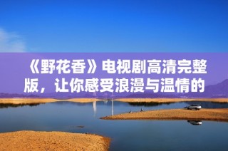 《野花香》电视剧高清完整版，让你感受浪漫与温情的故事之旅