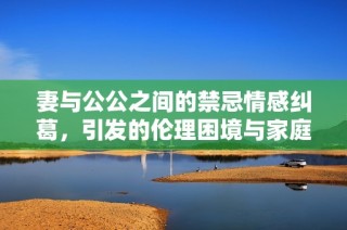妻与公公之间的禁忌情感纠葛，引发的伦理困境与家庭纷争