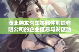 湖北腾龙汽车零部件制造有限公司的企业信息与发展动态分析