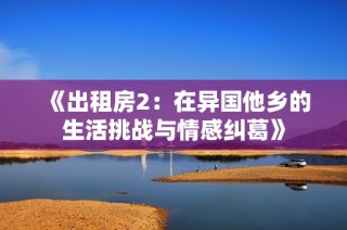 《出租房2：在异国他乡的生活挑战与情感纠葛》