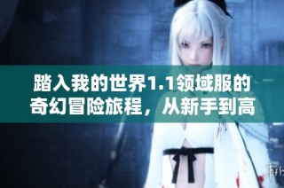 踏入我的世界1.1领域服的奇幻冒险旅程，从新手到高手的全方位攻略分享