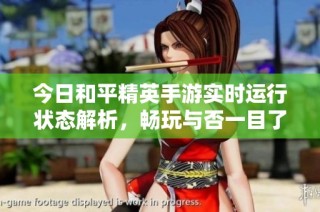 今日和平精英手游实时运行状态解析，畅玩与否一目了然