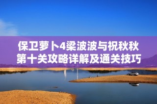 保卫萝卜4梁波波与祝秋秋第十关攻略详解及通关技巧分享