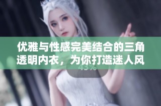 优雅与性感完美结合的三角透明内衣，为你打造迷人风格