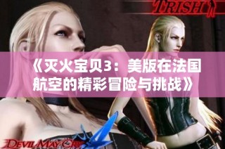 《灭火宝贝3：美版在法国航空的精彩冒险与挑战》