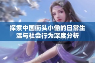 探索中国街头小偷的日常生活与社会行为深度分析