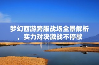 梦幻西游跨服战场全景解析，实力对决激战不停歇