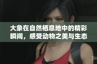 大象在自然栖息地中的精彩瞬间，感受动物之美与生态和谐