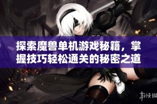 探索魔兽单机游戏秘籍，掌握技巧轻松通关的秘密之道