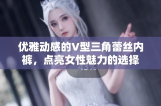 优雅动感的V型三角蕾丝内裤，点亮女性魅力的选择