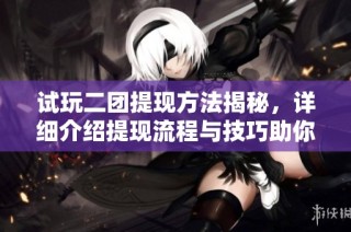 试玩二团提现方法揭秘，详细介绍提现流程与技巧助你轻松提现