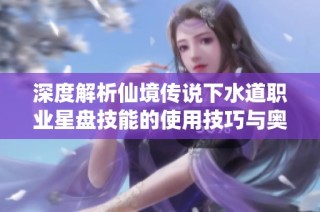 深度解析仙境传说下水道职业星盘技能的使用技巧与奥秘