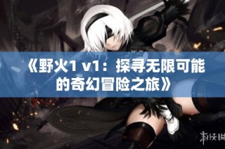 《野火1 v1：探寻无限可能的奇幻冒险之旅》