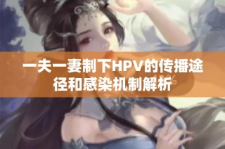 一夫一妻制下HPV的传播途径和感染机制解析