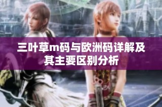 三叶草m码与欧洲码详解及其主要区别分析