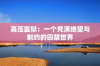高压监狱：一个充满绝望与制约的囚禁世界