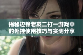 揭秘边锋老友二打一游戏中的外挂使用技巧与实测分享