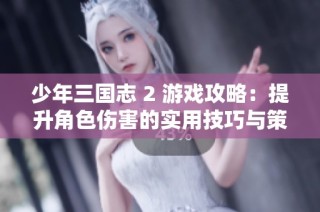 少年三国志 2 游戏攻略：提升角色伤害的实用技巧与策略详解