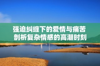 强迫纠缠下的爱情与痛苦 剖析复杂情感的高潮时刻