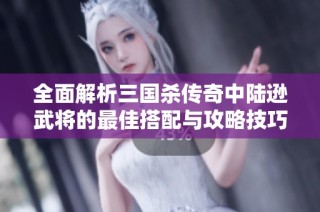 全面解析三国杀传奇中陆逊武将的最佳搭配与攻略技巧