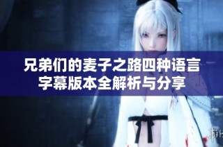 兄弟们的麦子之路四种语言字幕版本全解析与分享