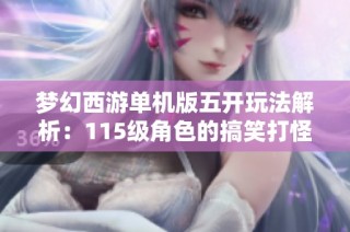 梦幻西游单机版五开玩法解析：115级角色的搞笑打怪之旅