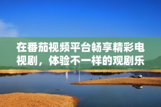 在番茄视频平台畅享精彩电视剧，体验不一样的观剧乐趣