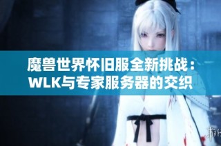 魔兽世界怀旧服全新挑战：WLK与专家服务器的交织之旅