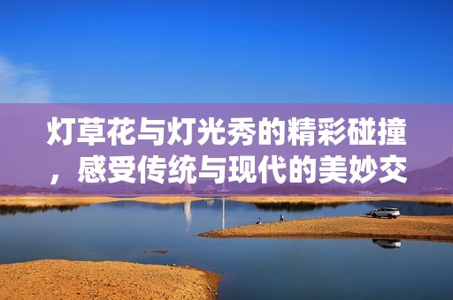 灯草花与灯光秀的精彩碰撞，感受传统与现代的美妙交融