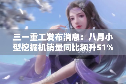 三一重工发布消息：八月小型挖掘机销量同比飙升51%
