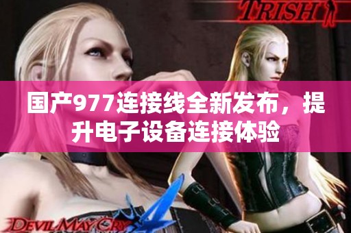 国产977连接线全新发布，提升电子设备连接体验