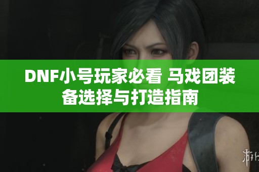DNF小号玩家必看 马戏团装备选择与打造指南