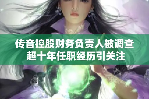 传音控股财务负责人被调查 超十年任职经历引关注