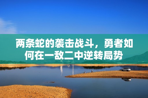 两条蛇的袭击战斗，勇者如何在一敌二中逆转局势