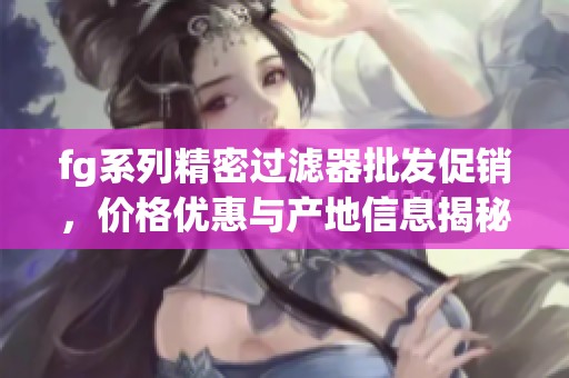 fg系列精密过滤器批发促销，价格优惠与产地信息揭秘
